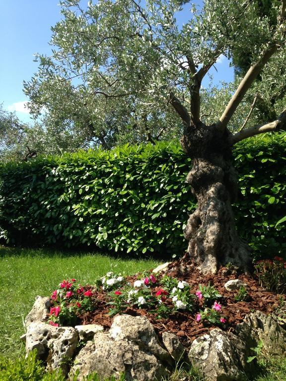 Da Debbie San Giovanni In Marignano Rum bild